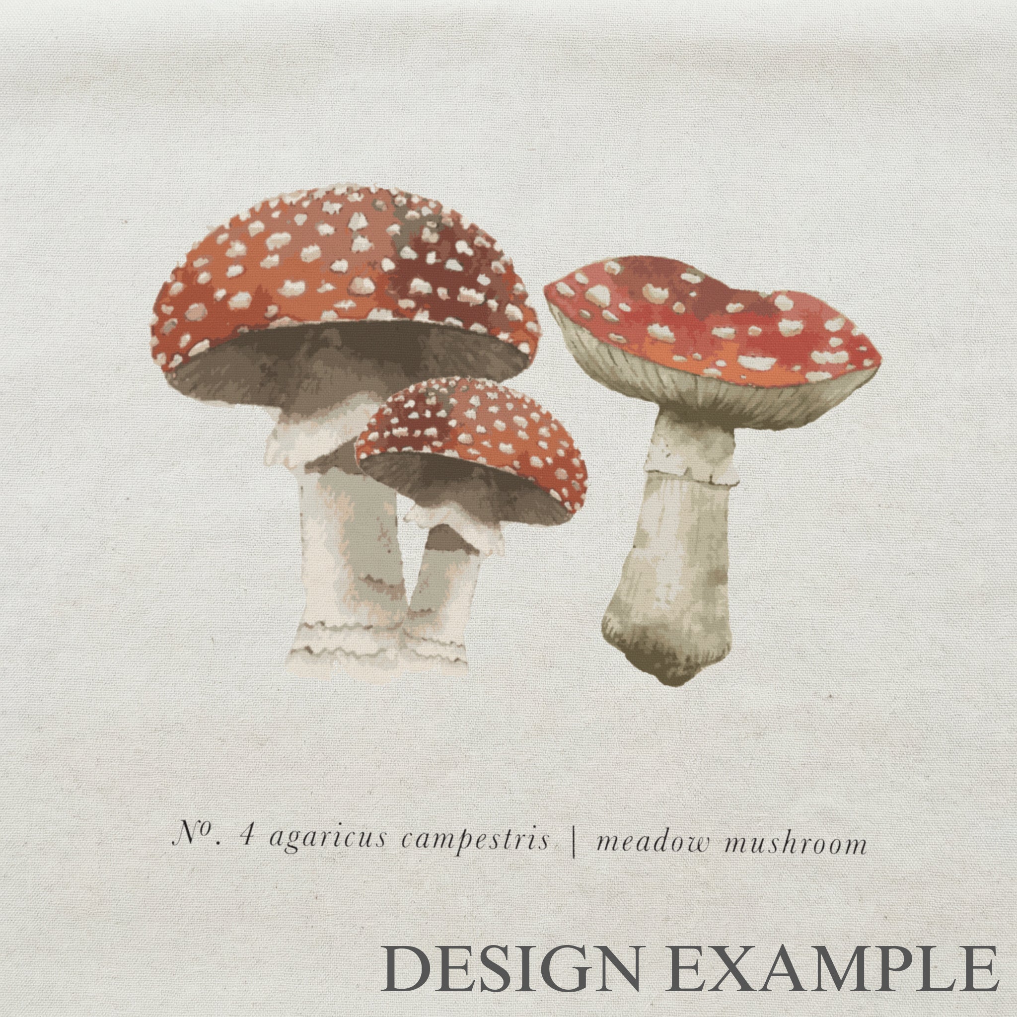 Throw Pillows - Mushrooms Color
