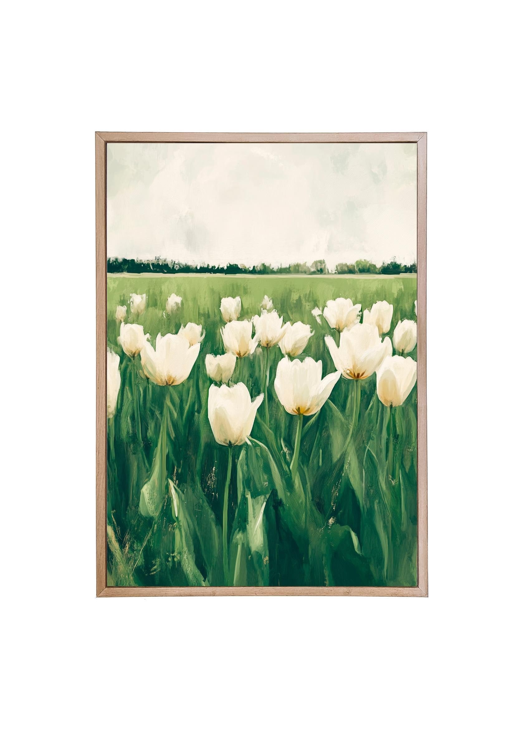 Wooden Frames - Tulip Field