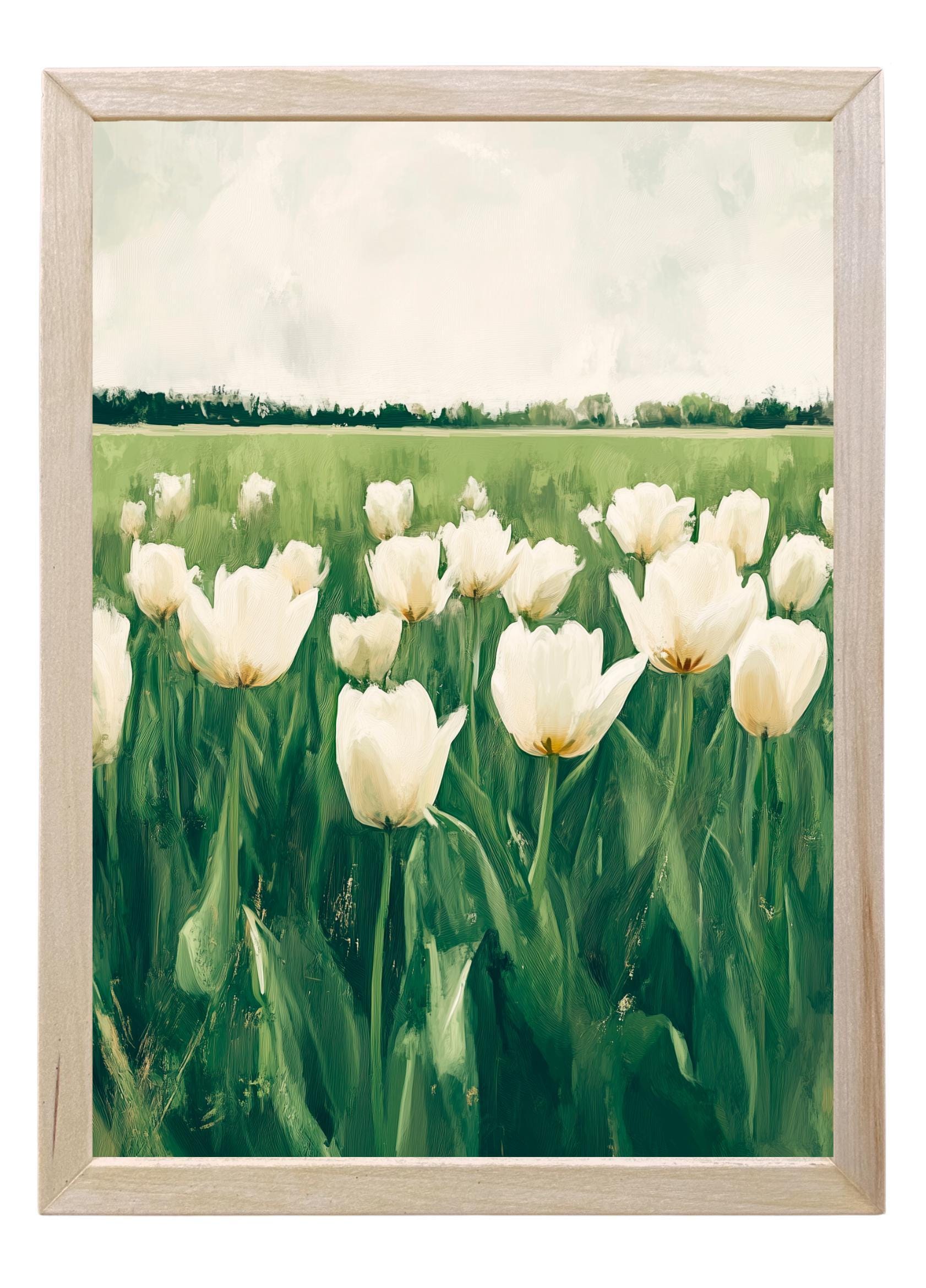 Wooden Frames - Tulip Field