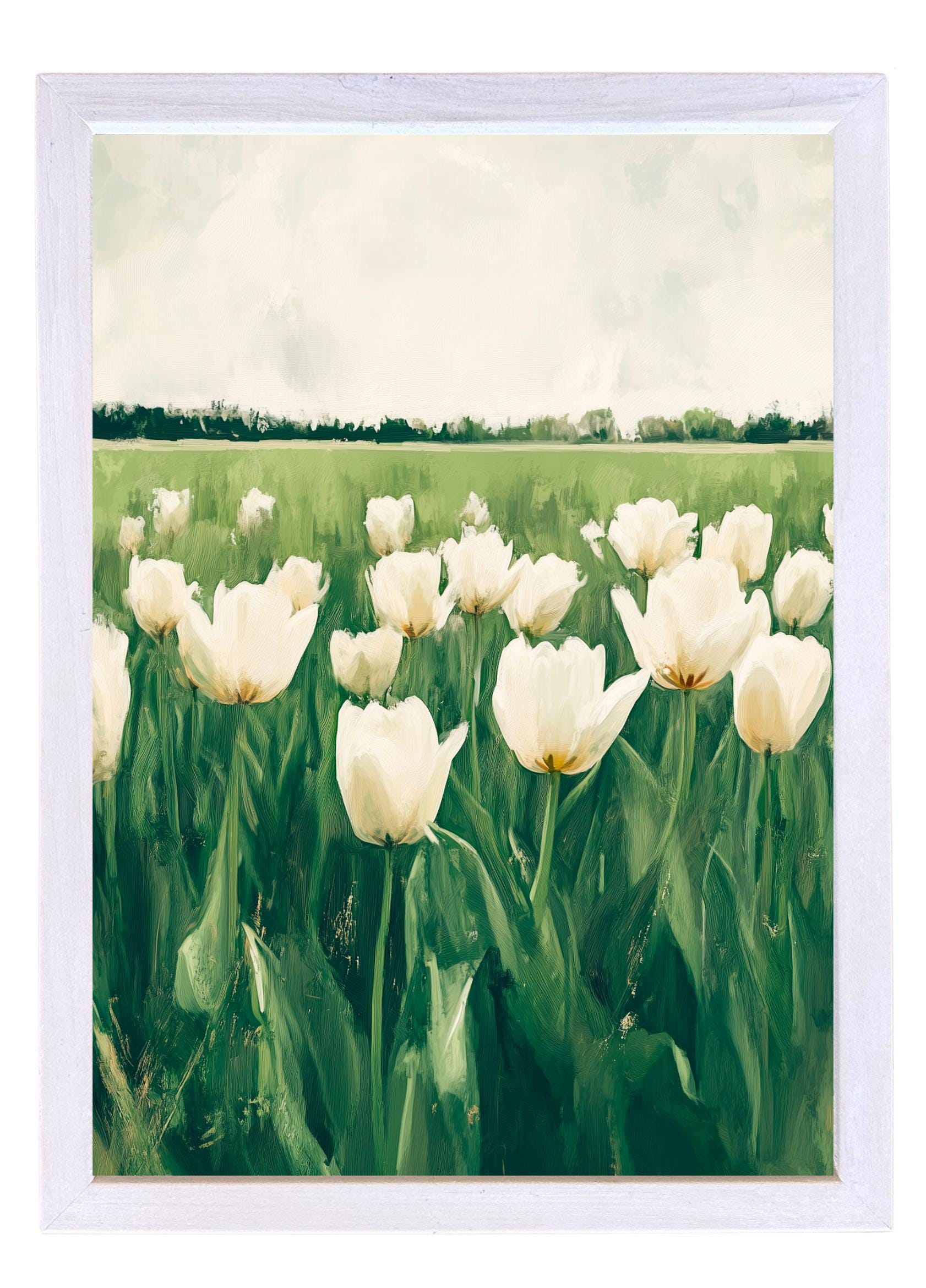 Wooden Frames - Tulip Field