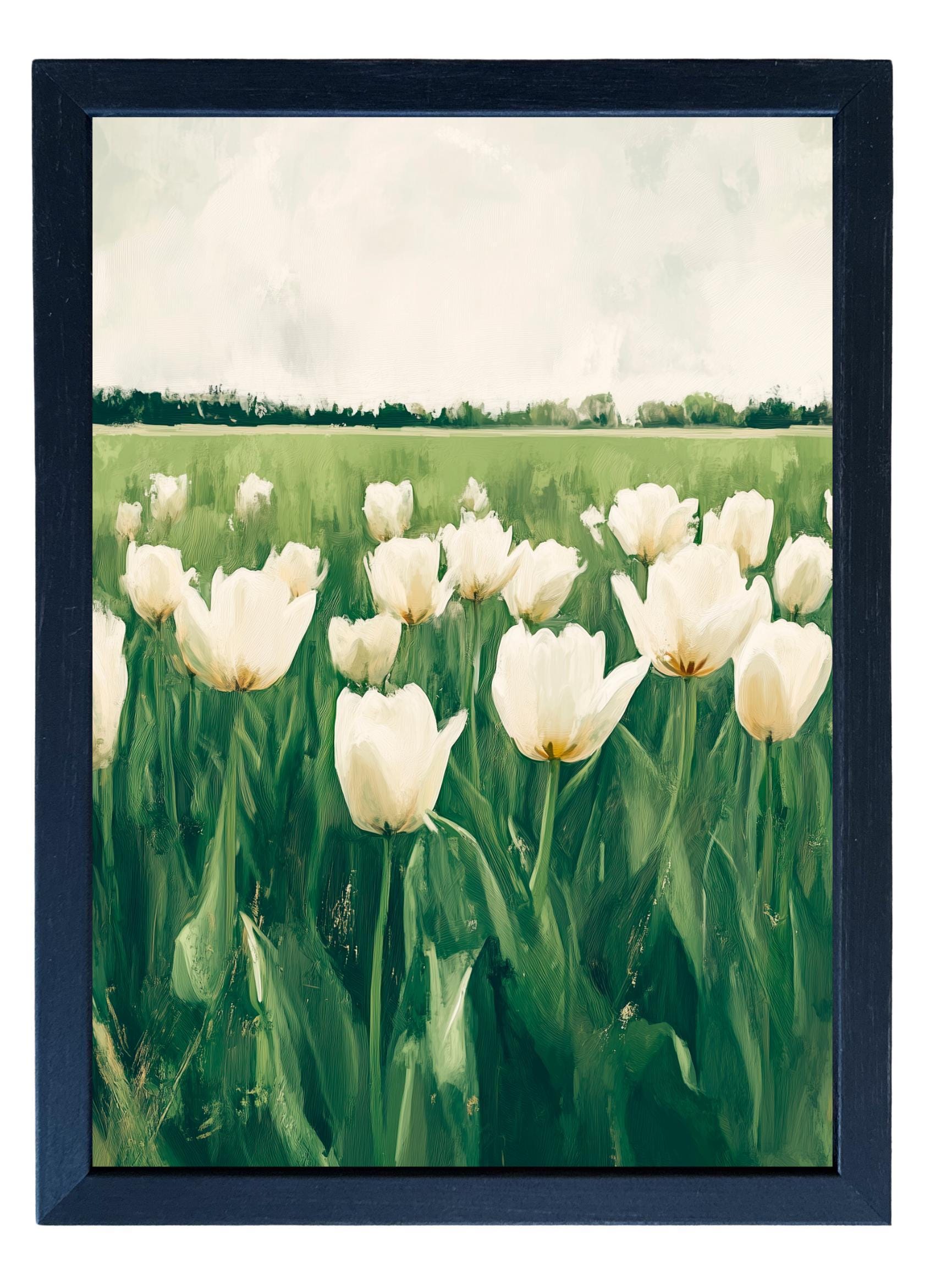 Wooden Frames - Tulip Field