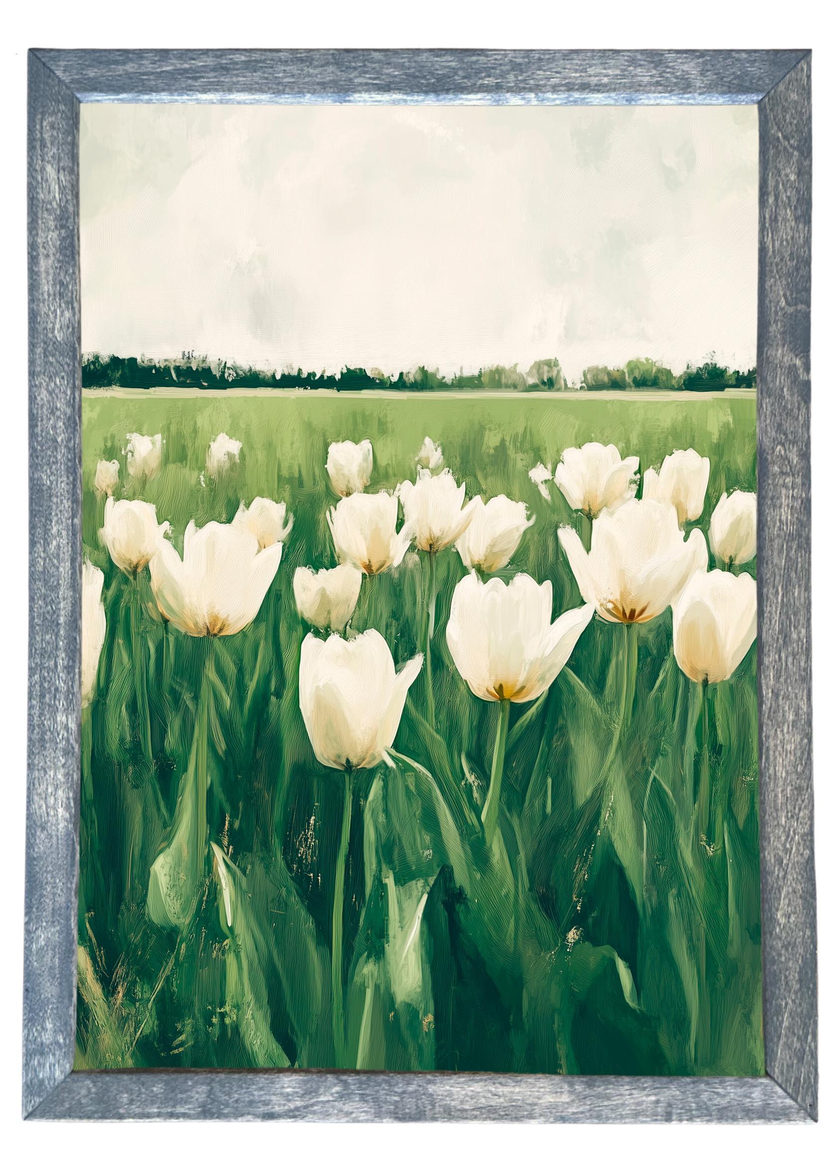 Wooden Frames - Tulip Field